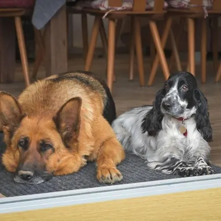 Utulny V Zahrade V Unhosti Nedaleko Letiste Unhošť