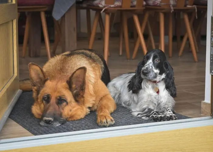 Utulny V Zahrade V Unhosti Nedaleko Letiste Unhošť